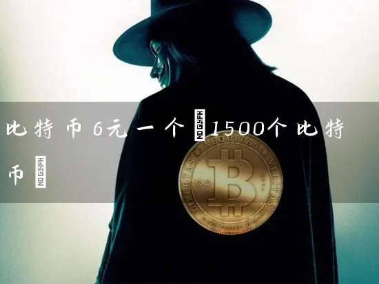 比特币6元一个(1500个比特币)