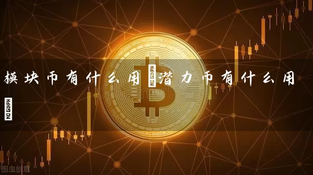 模块币有什么用(潜力币有什么用)