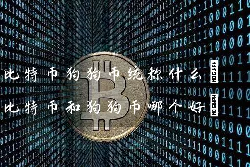比特币狗狗币统称什么(比特币和狗狗币哪个好)