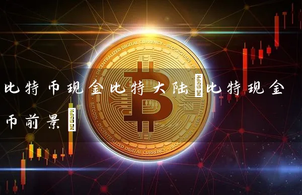比特币现金比特(比特现金币前景)