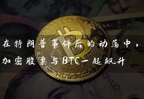 在特朗普事件后的动荡中，加密股票与BTC一起飙升