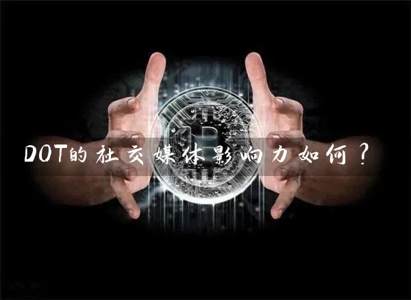DOT的社交媒体影响力如何？