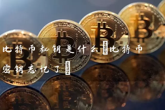 比特币秘钥是什么(比特币密钥忘记了)