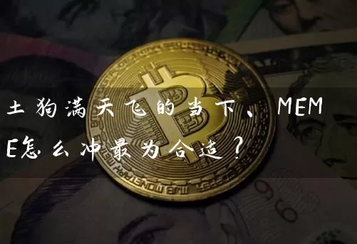 土狗满天飞的当下、MEME怎么冲最为合适？