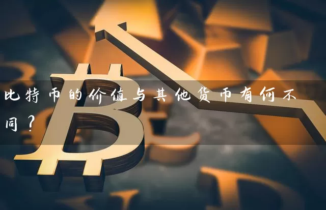 比特币的价值与其他货币有何不同？