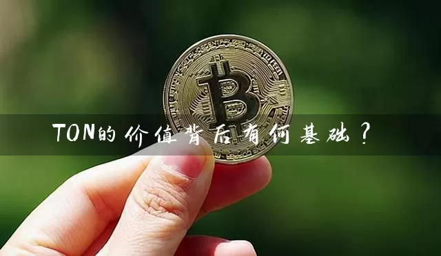 TON的价值背后有何基础？