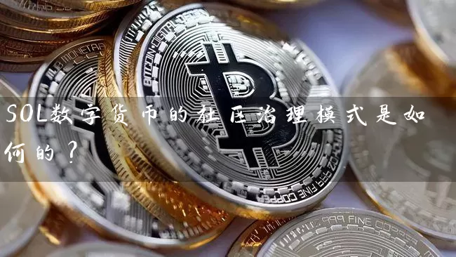 SOL数字货币的社区治理模式是如何的？