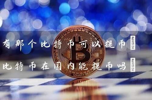 有那个比特币可以提币(比特币在国内能提币吗)