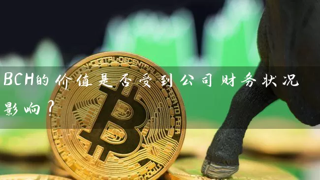 BCH的价值是否受到公司财务状况影响？