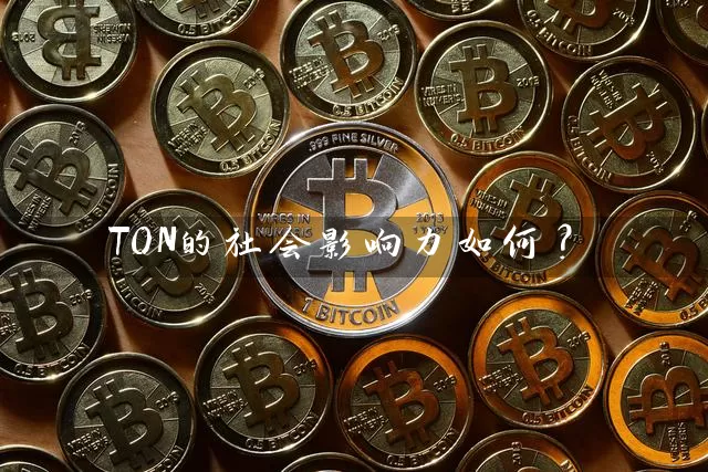 TON的社会影响力如何？