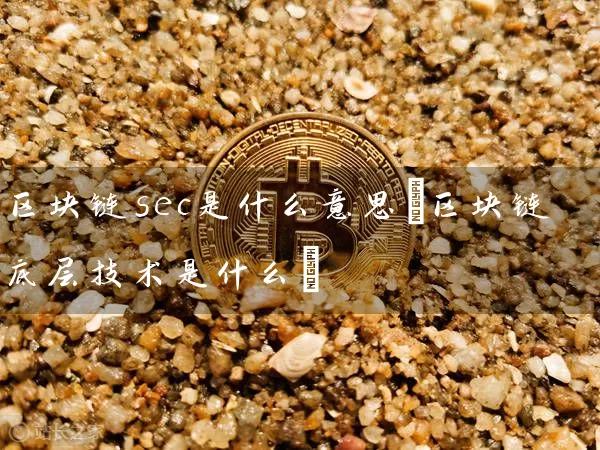 区块链sec是什么意思(区块链底层技术是什么)