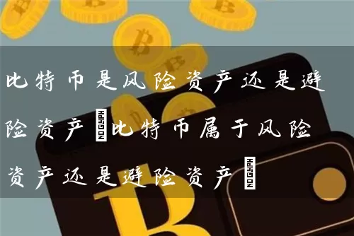 比特币是风险资产还是避险资产(比特币属于风险资产还是避险资产)