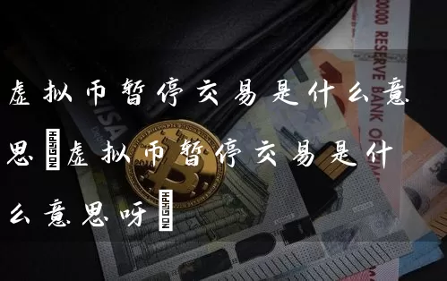 虚拟币暂停交易是什么意思(虚拟币暂停交易是什么意思呀)