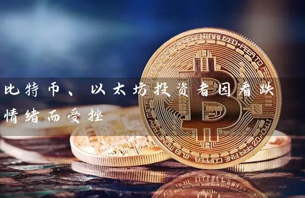 比特币、以太坊投资者因看跌情绪而受挫