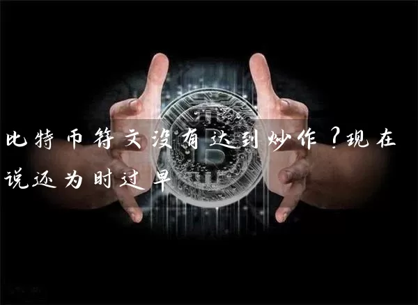 比特币符文没有达到炒作？现在说还为时过早