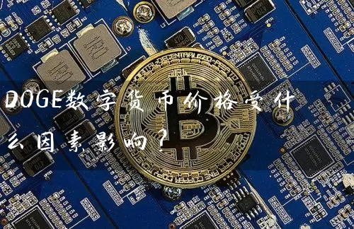 DOGE数字货币价格受什么因素影响？
