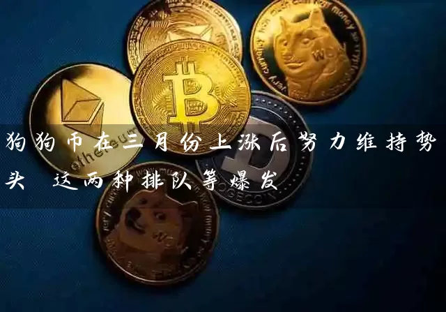 狗狗币在三月份上涨后努力维持势头 这两种排队等爆发