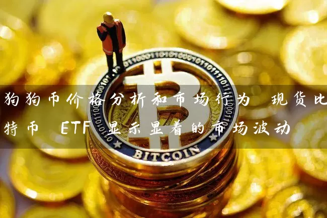 狗狗币价格分析和市场行为 现货比特币 ETF 显示显着的市场波动