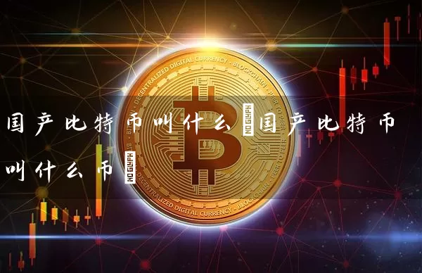 国产比特币叫什么(国产比特币叫什么币)