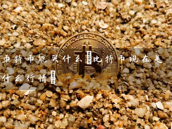 币特币能买什么(比特币现在是什么行情)