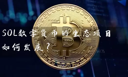 SOL数字货币的生态项目如何发展？