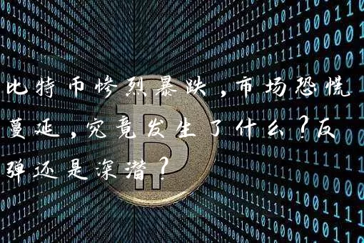 比特币惨烈暴跌,市场恐慌蔓延,究竟发生了什么?反弹还是深潜?