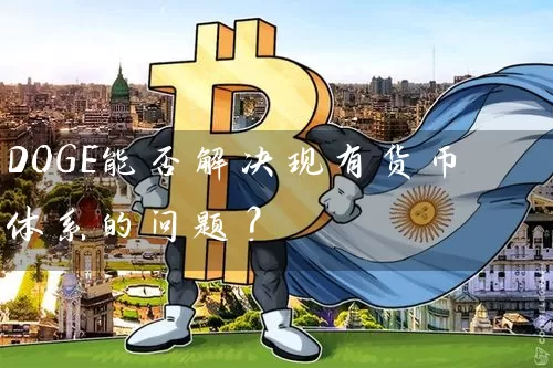 DOGE能否解决现有货币体系的问题？