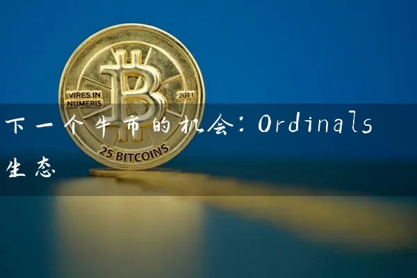 下一个牛市的机会：Ordinals生态