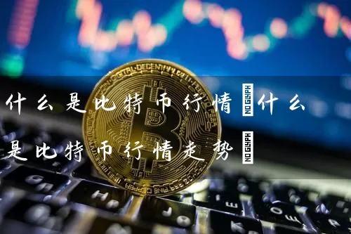什么是比特币行情(什么是比特币行情走势)