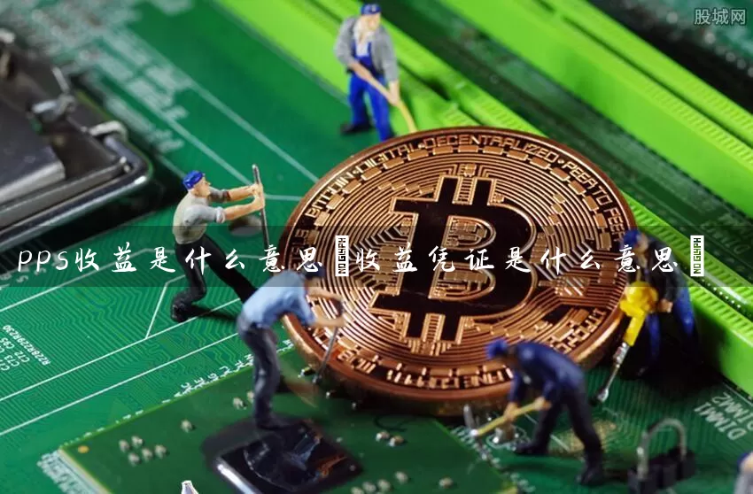 pps收益是什么意思(收益凭证是什么意思)