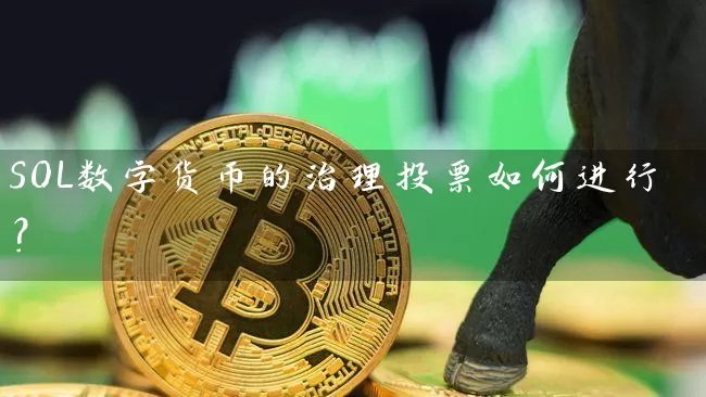 SOL数字货币的治理投票如何进行？