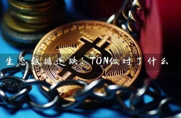 生态数据逆跌：TON做对了什么