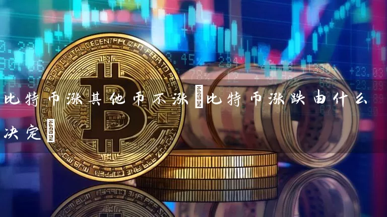 比特币涨其他币不涨(比特币涨跌由什么决定)