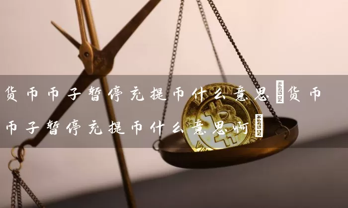 货币币子暂停充提币什么意思(货币币子暂停充提币什么意思啊)