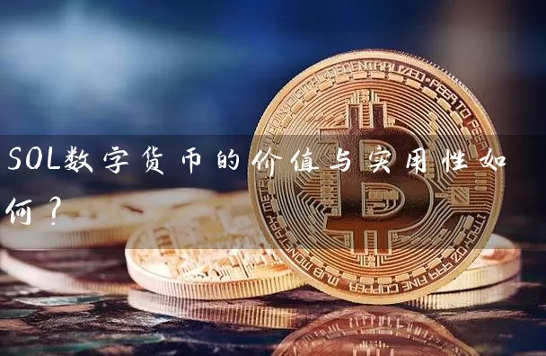 SOL数字货币的价值与实用性如何？