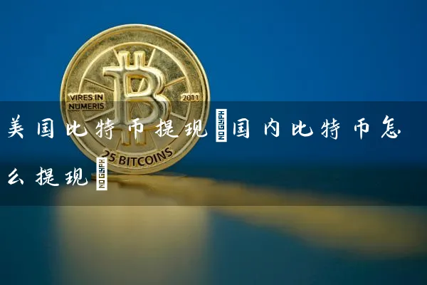 美国比特币提现(国内比特币怎么提现)