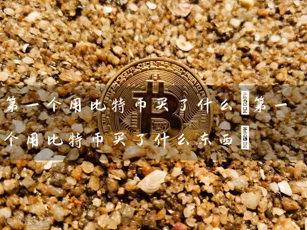 第一个用比特币买了什么(第一个用比特币买了什么东西)