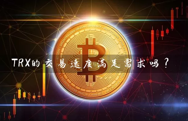 TRX的交易速度满足需求吗？