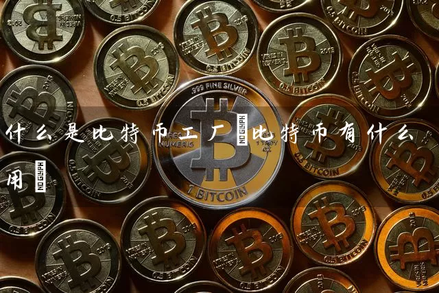 什么是比特币工厂(比特币有什么用)