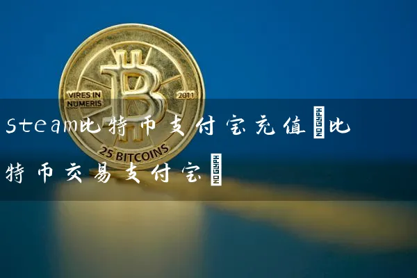 steam比特币支付宝充值(比特币交易支付宝)