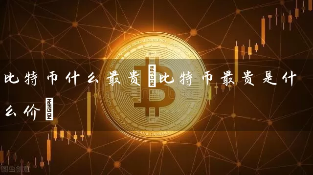 比特币什么最贵(比特币最贵是什么价)