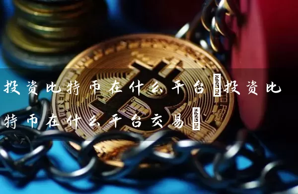 投资比特币在什么平台(投资比特币在什么平台交易)