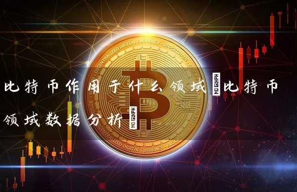 比特币作用于什么领域(比特币领域数据分析)